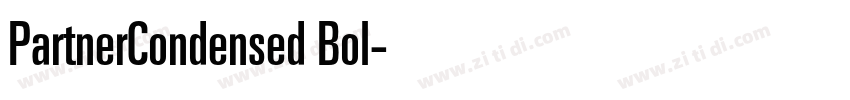 PartnerCondensed Bol字体转换
